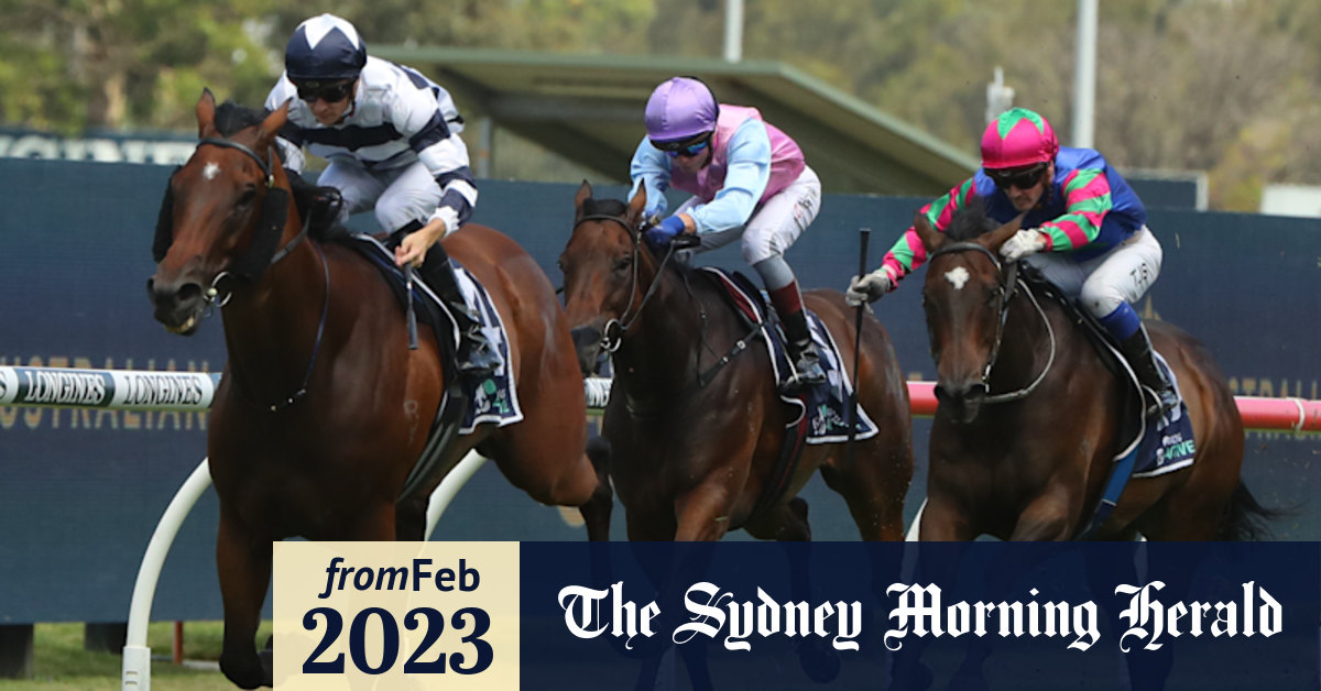 Racebyrace preview and tips for Canterbury on Friday